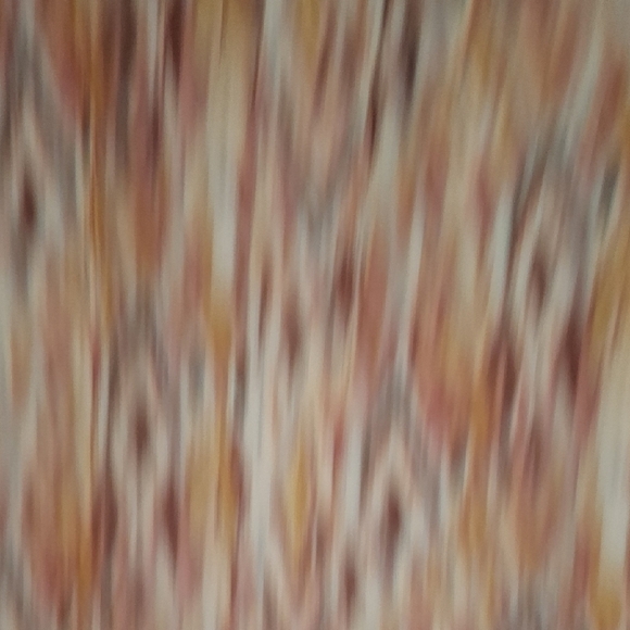 Roan+rijan Ruffled Sleeveless Blouse in Orange and Tan. - Picture 5 of 7